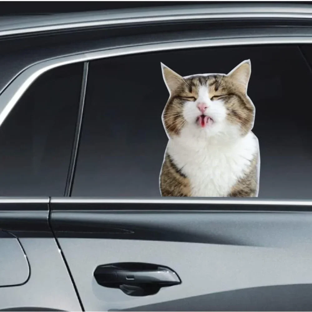 *NEW* Funny Cat Car Window Decal - Cat Lick 10.75